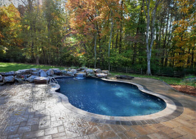 A freeform pool with tile in a backyard.
